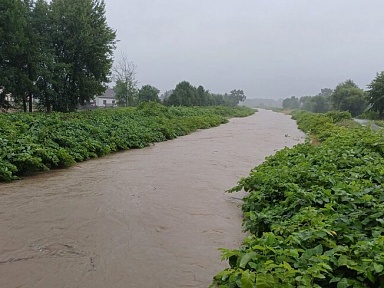 200 interwencji w powiecie bielskim