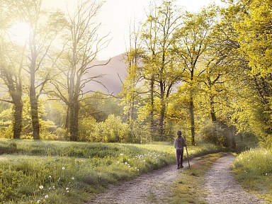 To pomaga obniżyć poziom cholesterolu we krwi