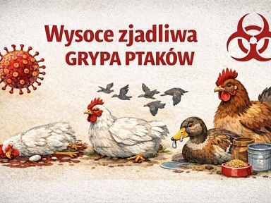 Ognisko wysoce zjadliwej grypy ptaków 