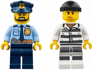 Kolekcjoner klocków LEGO zatrzymany