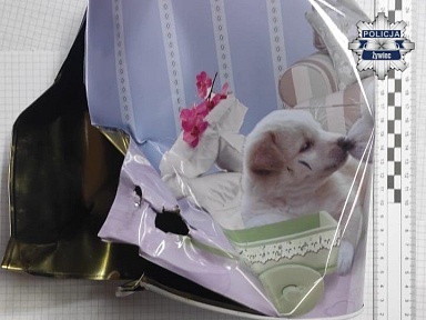 Ukradł puszkę z pieniędzmi