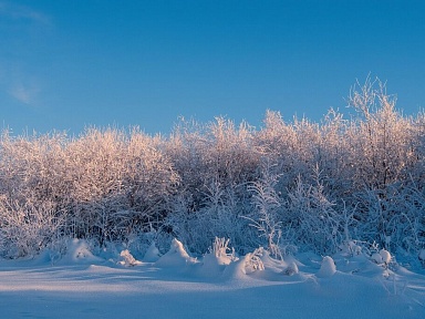 Tego nie wolno robić na mrozie