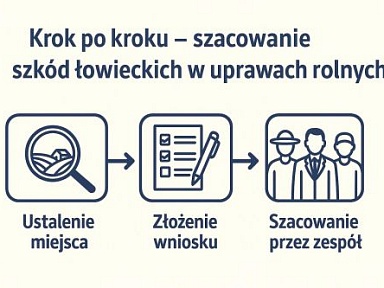 Szkody łowieckie w uprawach rolnych - krok po kroku