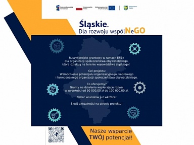 „Śląskie. Dla rozwoju wspólNeGO” - rusza projekt grantowy