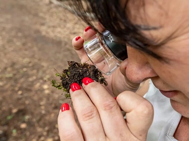 WFOŚiGW wspiera edukację ekologiczną w naszym województwie